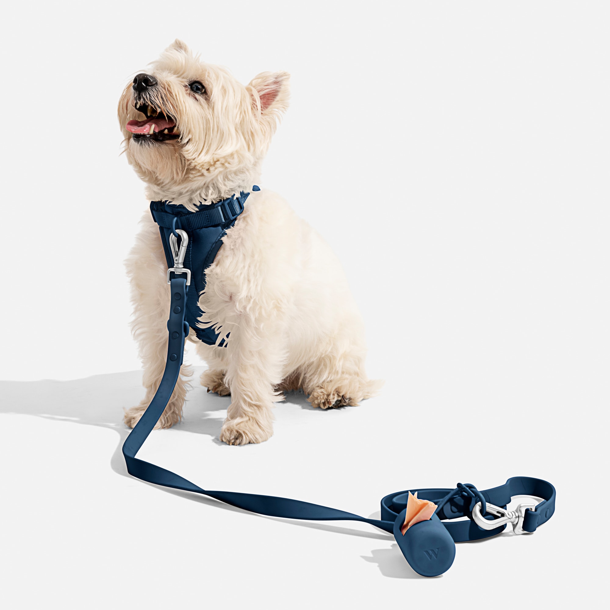 WILD ONE Navy Dog Leash， 66