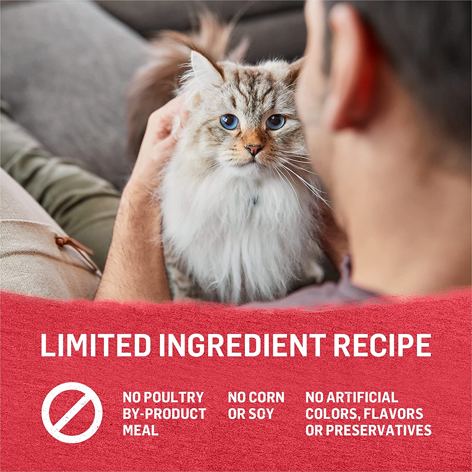 Purina Beyond Grain Free， Natural， Adult Wet Cat Food， Chicken， Beef and Carrot in Gravy