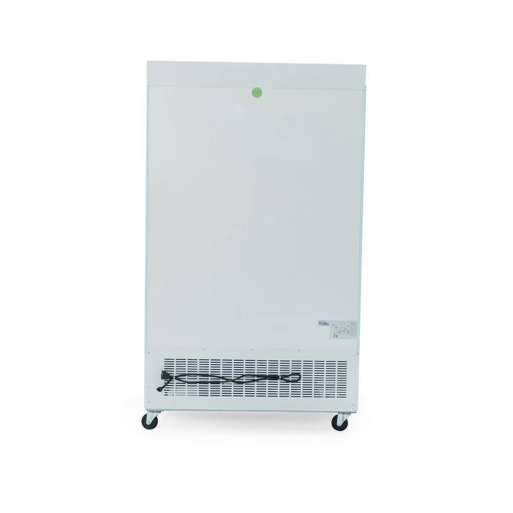 Norpole 29 cu. ft. Glass Door Reach-In Commercial Merchandiser Upright Freezer in White NPGF2-S