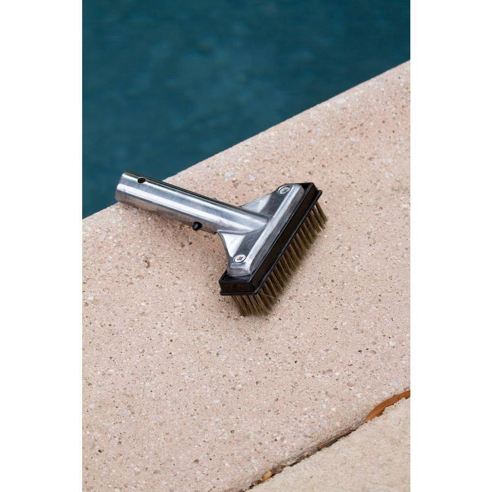 HDX 5 in. Stainless Steel Bristle Swimming Pool Brush for Algae Removal 60278