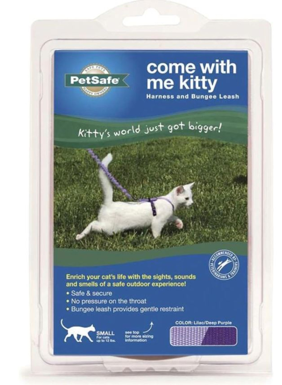 PetSafe Come With Me Kitty Cat Harness and Bungee Leash， Lilac