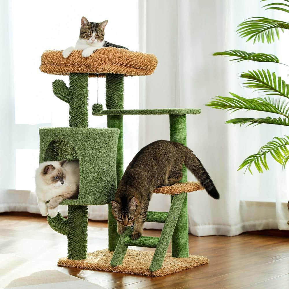 Foobrues Lovely Desert Cactus Cat Tree Ladder Multi Levels Condo PSL-23170864