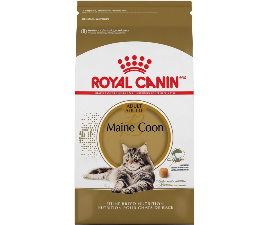 Royal Canin - Adult Maine Coon Dry Cat Food