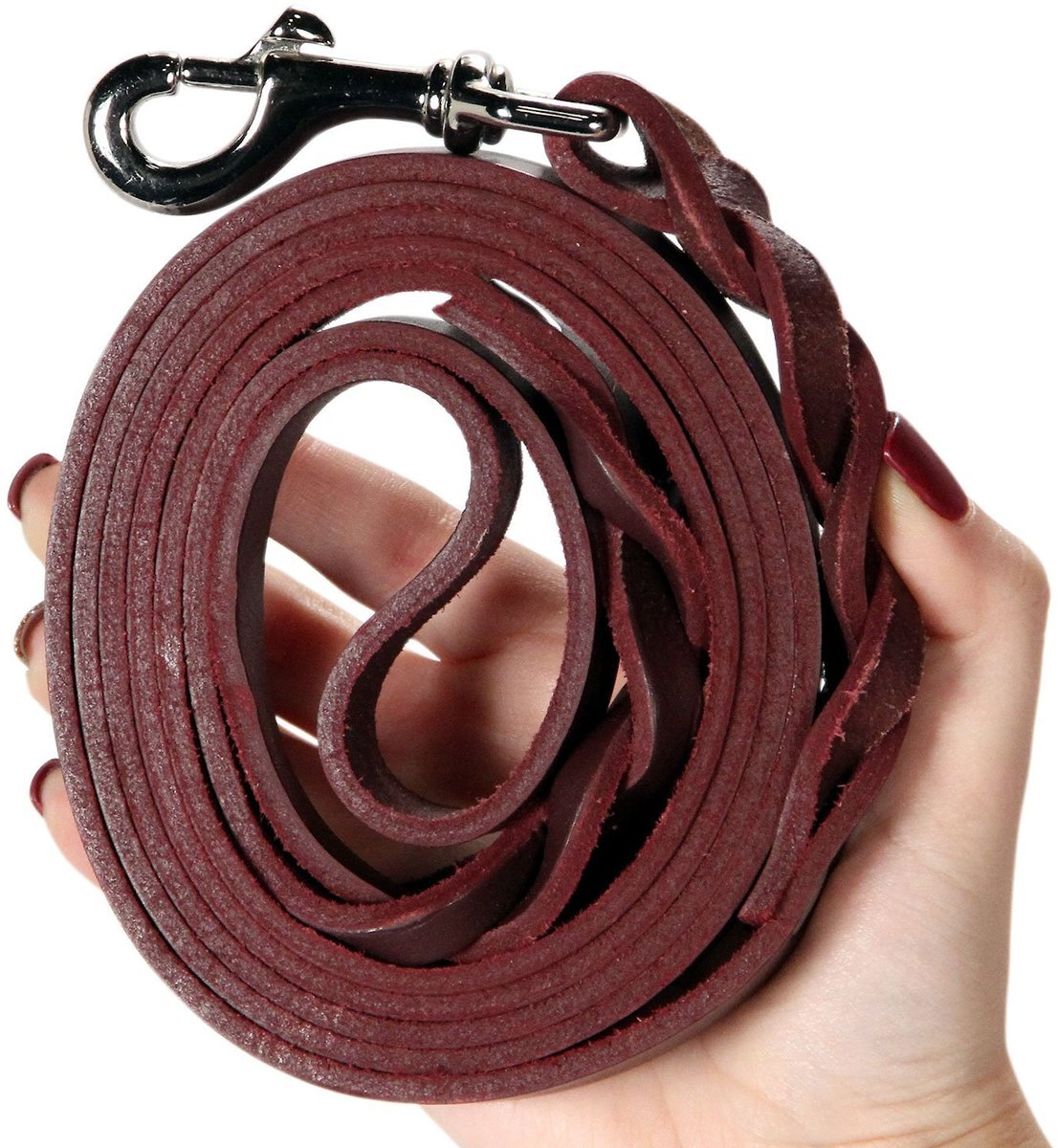 Logical Leather Braided Dog Leash， 6-ft