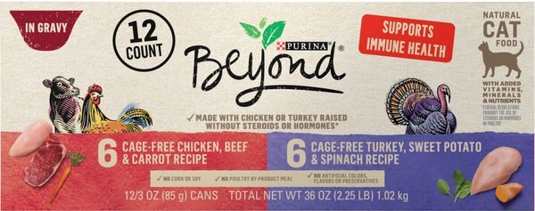 Purina Beyond Chicken and Turkey Variety Pack Wet Cat Food， 3-oz can， case of 12