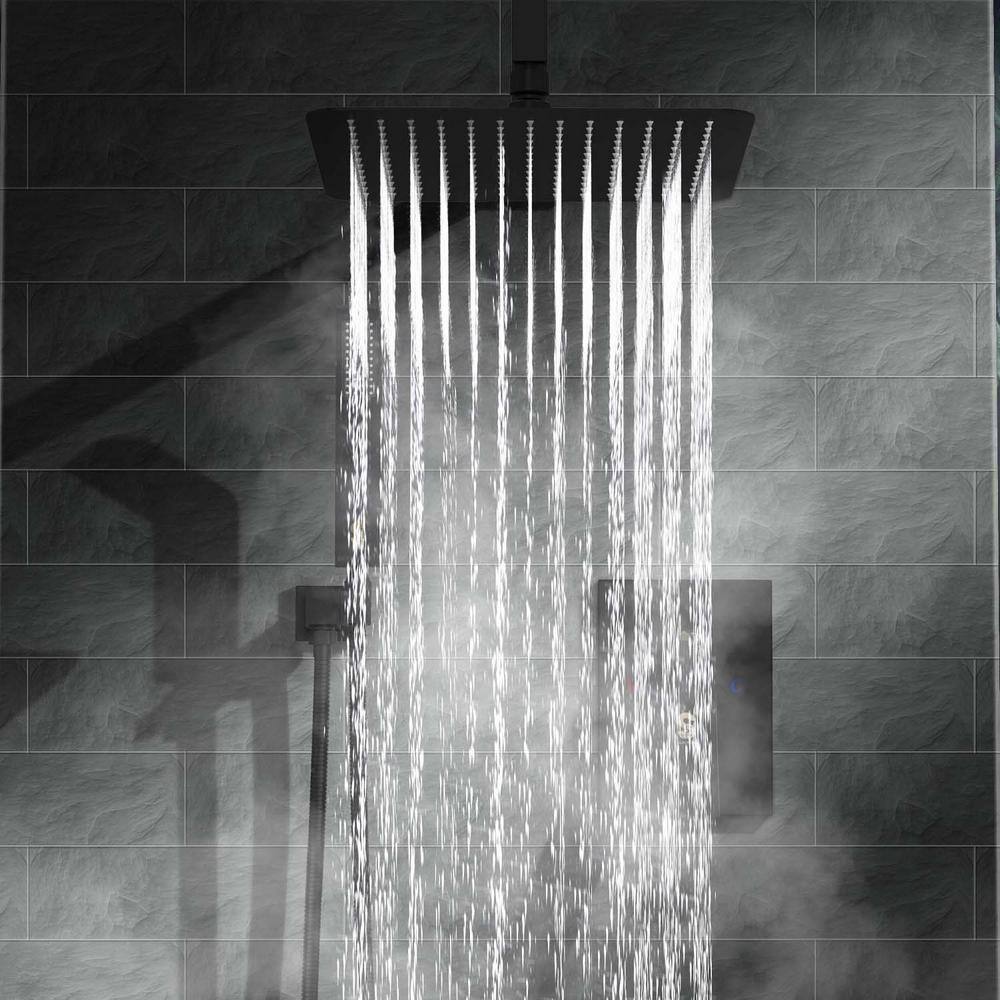 GIVING TREE 2-Spray Patterns with 2.0 GPM 12 in. Rain Shower Head Ceiling Mount Dual Shower Heads in Matte Black XLHDDTSH0014