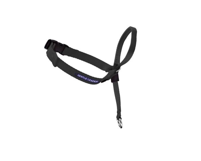 PetSafe Gentle Leader Dog Headcollar， Large， Black