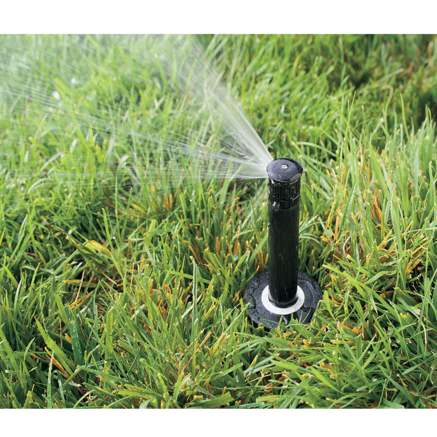 Rain Bird 1800 Series 4 in. H Quarter-Circle Pop-Up Sprinkler