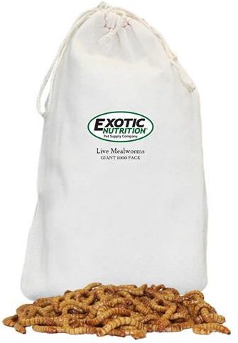 Exotic Nutrition Live Mealworms