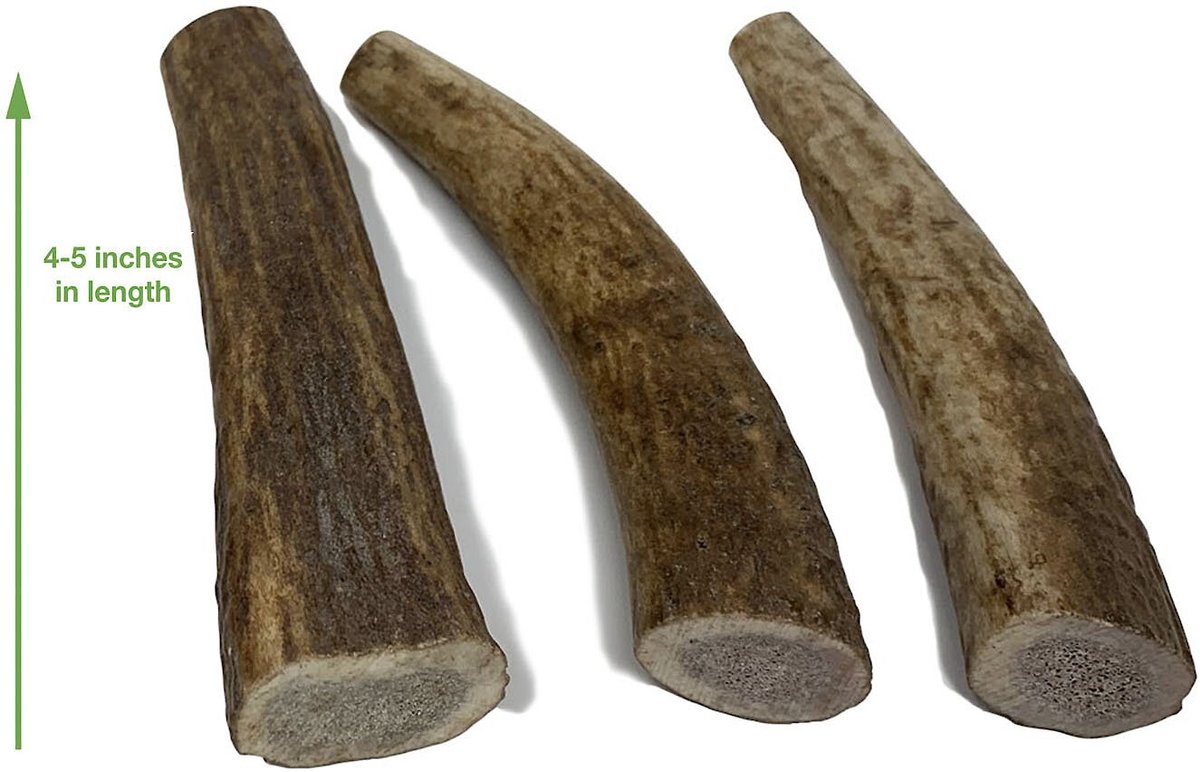 Buck Bone Organics Small Whole Elk Antler Dog Treats， 3 count