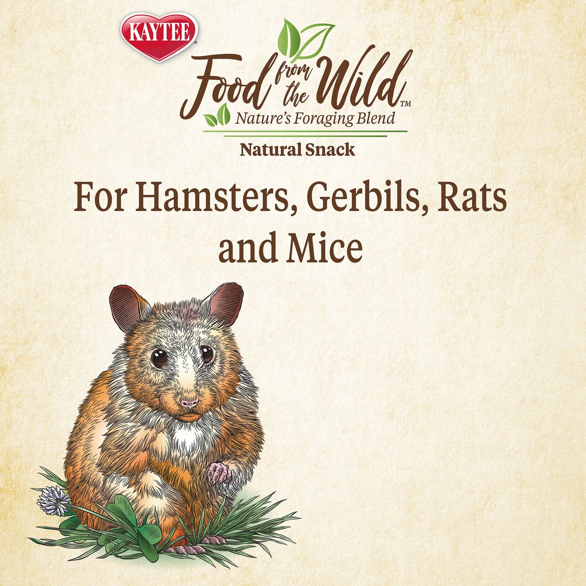 Kaytee Food from the Wild Natural Snack Hamster and Gerbil Treats， 2-oz bag