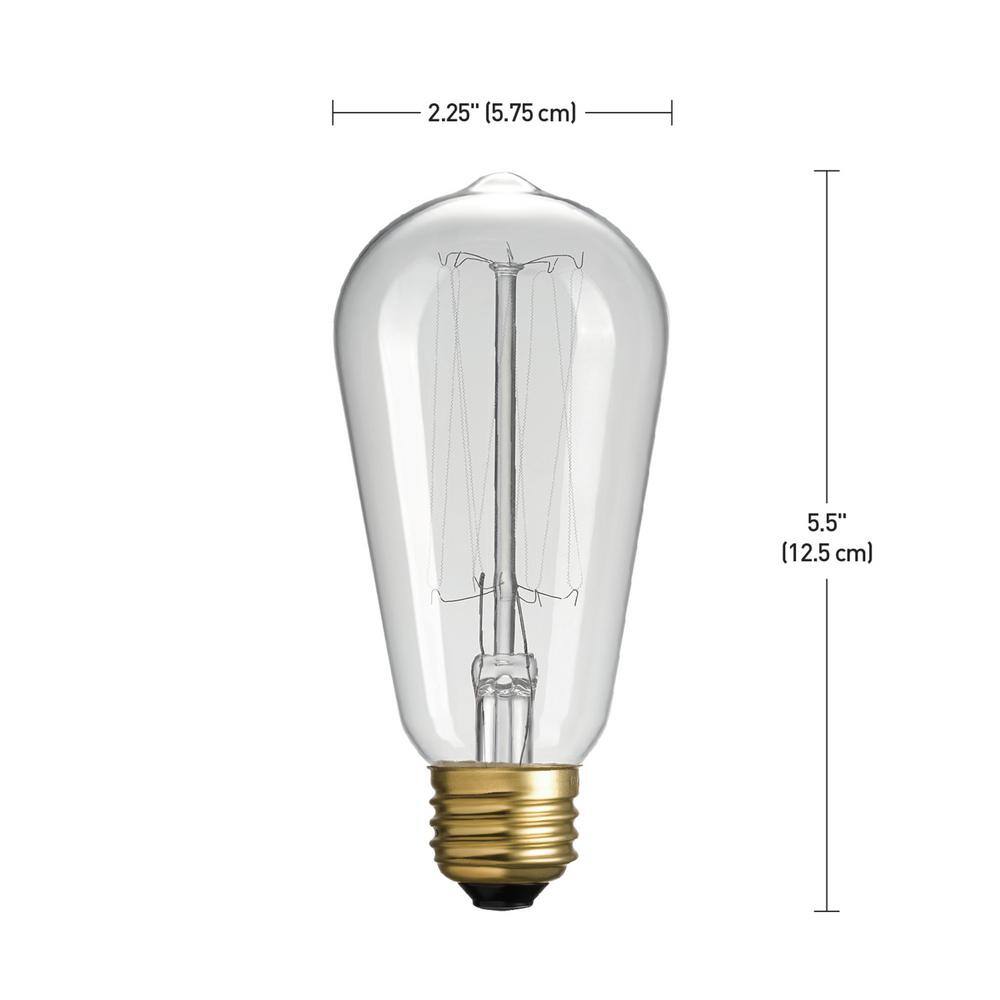 Globe Electric 60 Watt ST19 Dimmable Cage Filament Vintage Edison Incandescent Light Bulb Warm White Light (3-Pack) 31321