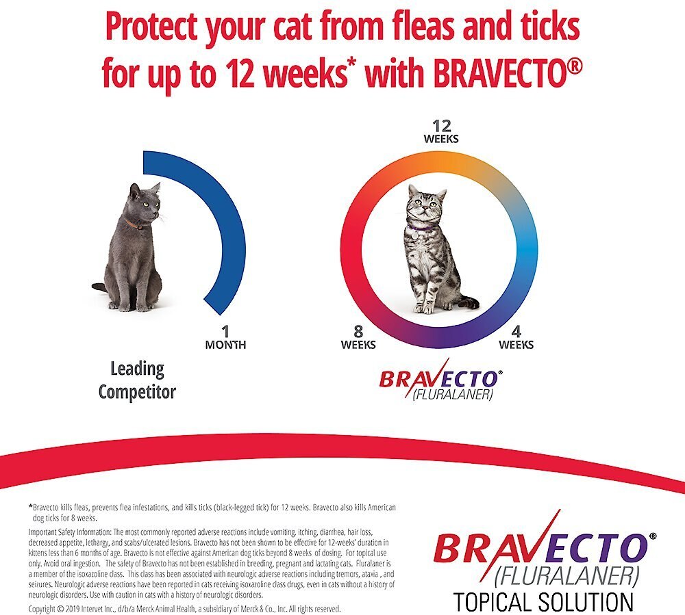 Bravecto Topical Solution for Cats， 6.2-13.8 lbs， (Blue Box)