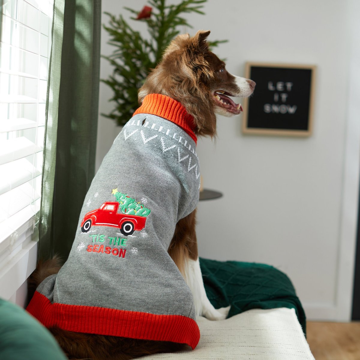 Frisco Holiday Truck Dog and Cat Sweater