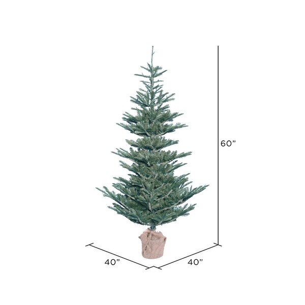 Vickerman 5' Alberta Blue Spruce Artificial Christmas Tree，Unlit