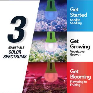 Feit Electric 9-Watt A19 Selectable Spectrum for SeedingGrowingBlooming Indoor Greenhouse Plant E26 LED Grow Light Bulb (1-Bulb) A19ADJGRWLEDHDRP