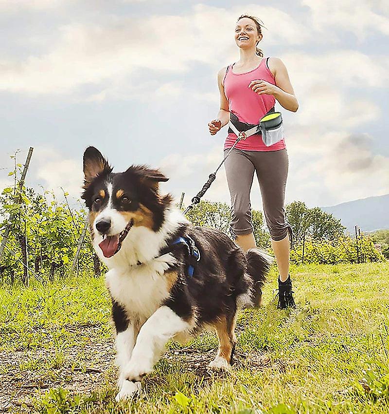 Dog treat bag with built-in poop bag dispenser