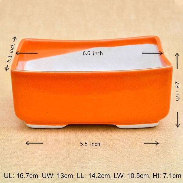 6.6 inch (17 cm) Bonsai Rectangle Ceramic Pot (Orange) (set of 2)