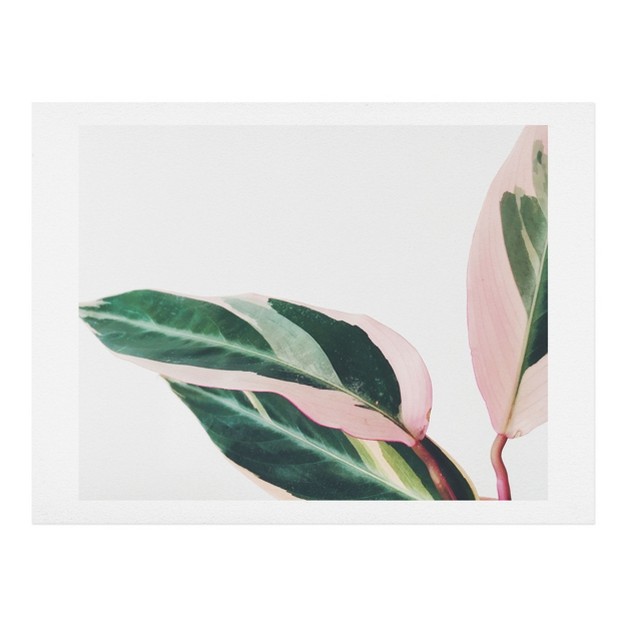 Cassia Beck Pink Leaves Ii Art Print Society6