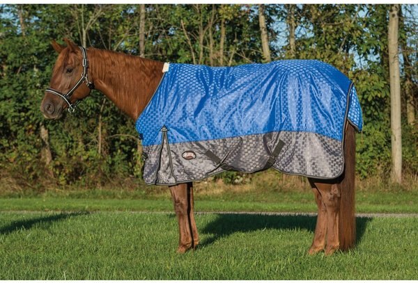 Weaver Leather Premium 600D Mesh Horse Rainsheet