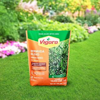 Vigoro 10 lbs. Bermuda Grass Seed Blend with Water Saver Seed Coating 25502