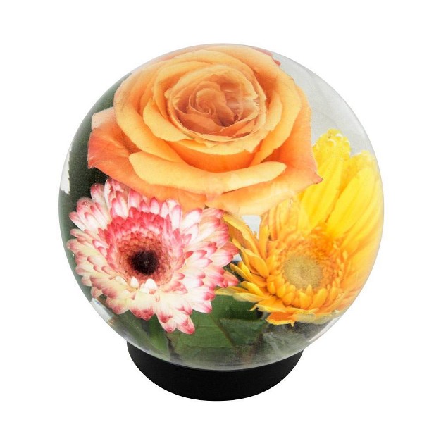 Glass Globe Vase Clear Achla Designs