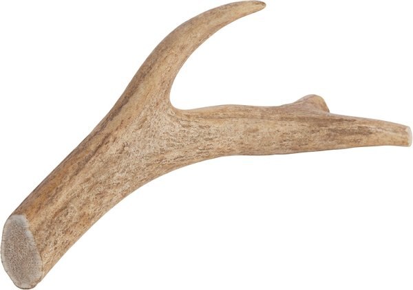 Redbarn Whole Deer Antler Dog Chew