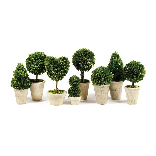 Boxwood Topiaries In Pots，Set Of 8