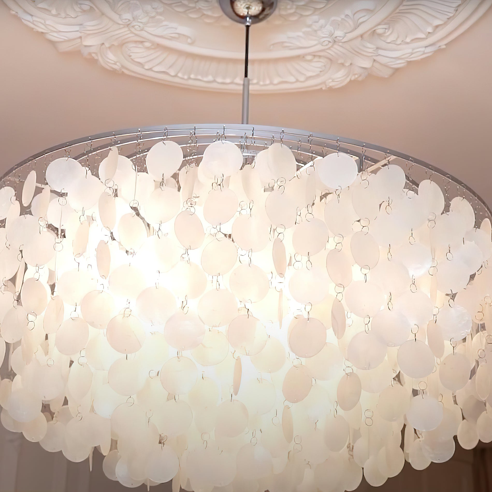 Round Shell Chandelier