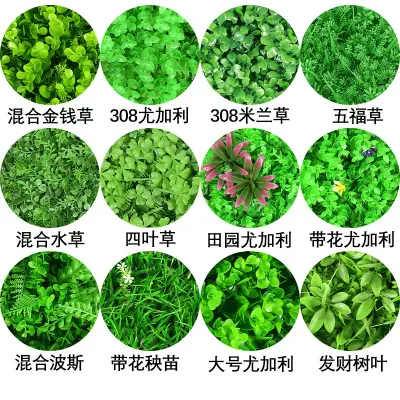 Garden supplies green wall vertical garden artificial boxwood green wall For Garden Landscape