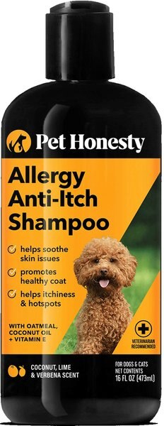 PetHonesty Allergy Anti-Itch Dog and Cat Shampoo， 16-oz bottle