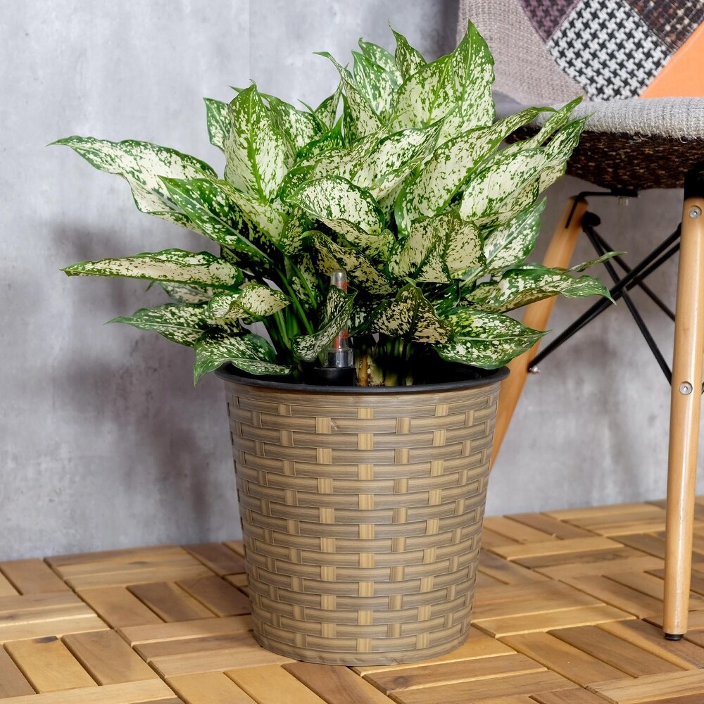 13.4 inch Self watering Wicker Round Decor Planter