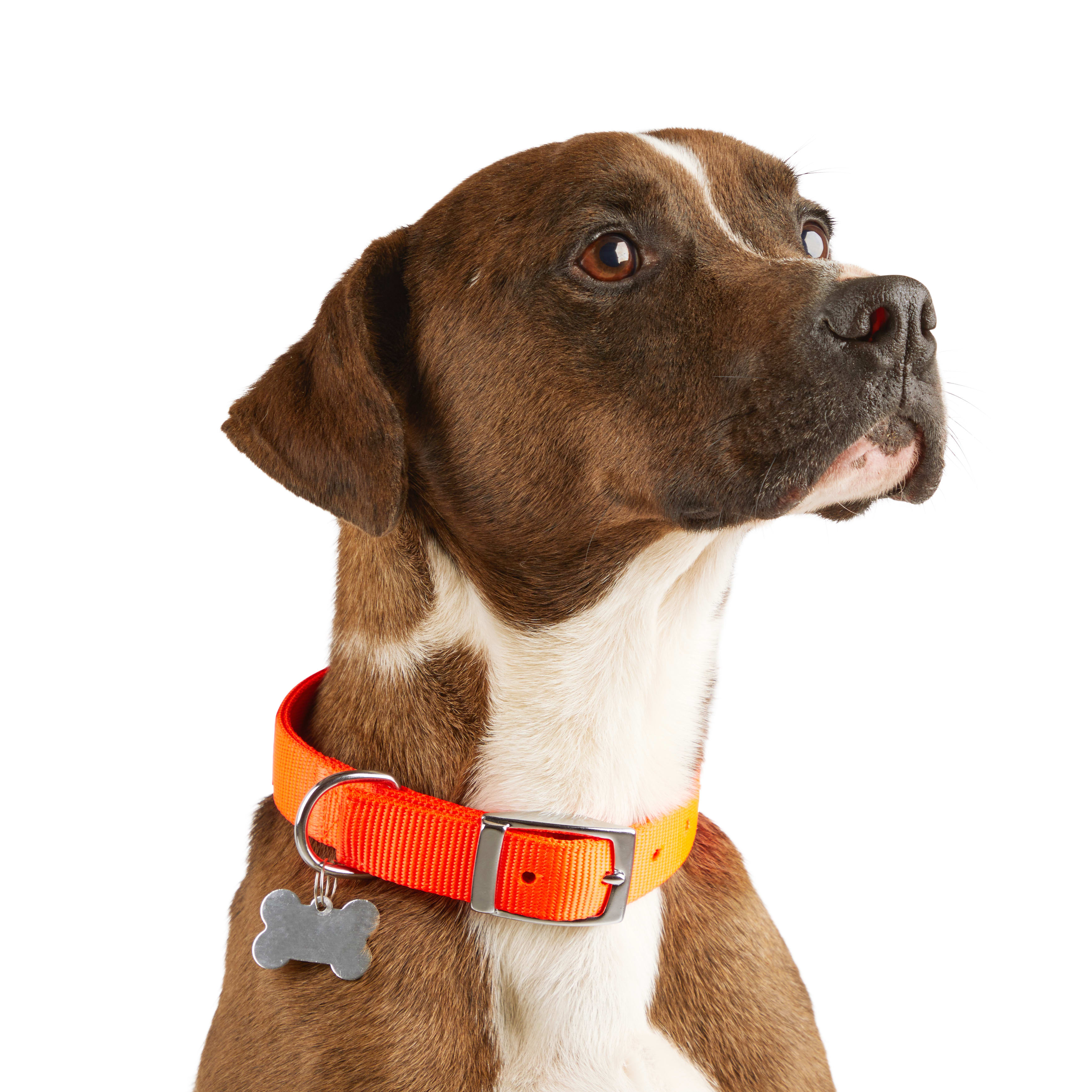 YOULY Bright Orange Reflective Dog Collar， Medium