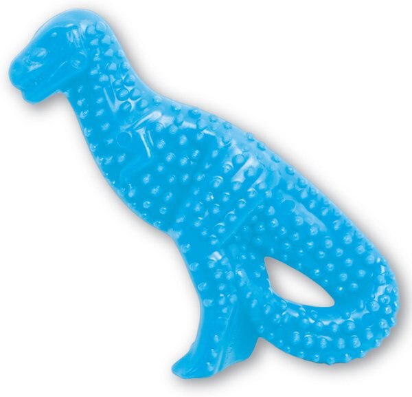 Nylabone Puppy Chicken Flavored Teething Dinosaur Puppy Chew Toy， Petite