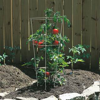 42 in. # Ring Tomato Cage 89748HD