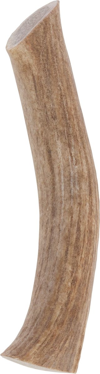 Redbarn Whole Elk Antler Dog Chew， XX-Large