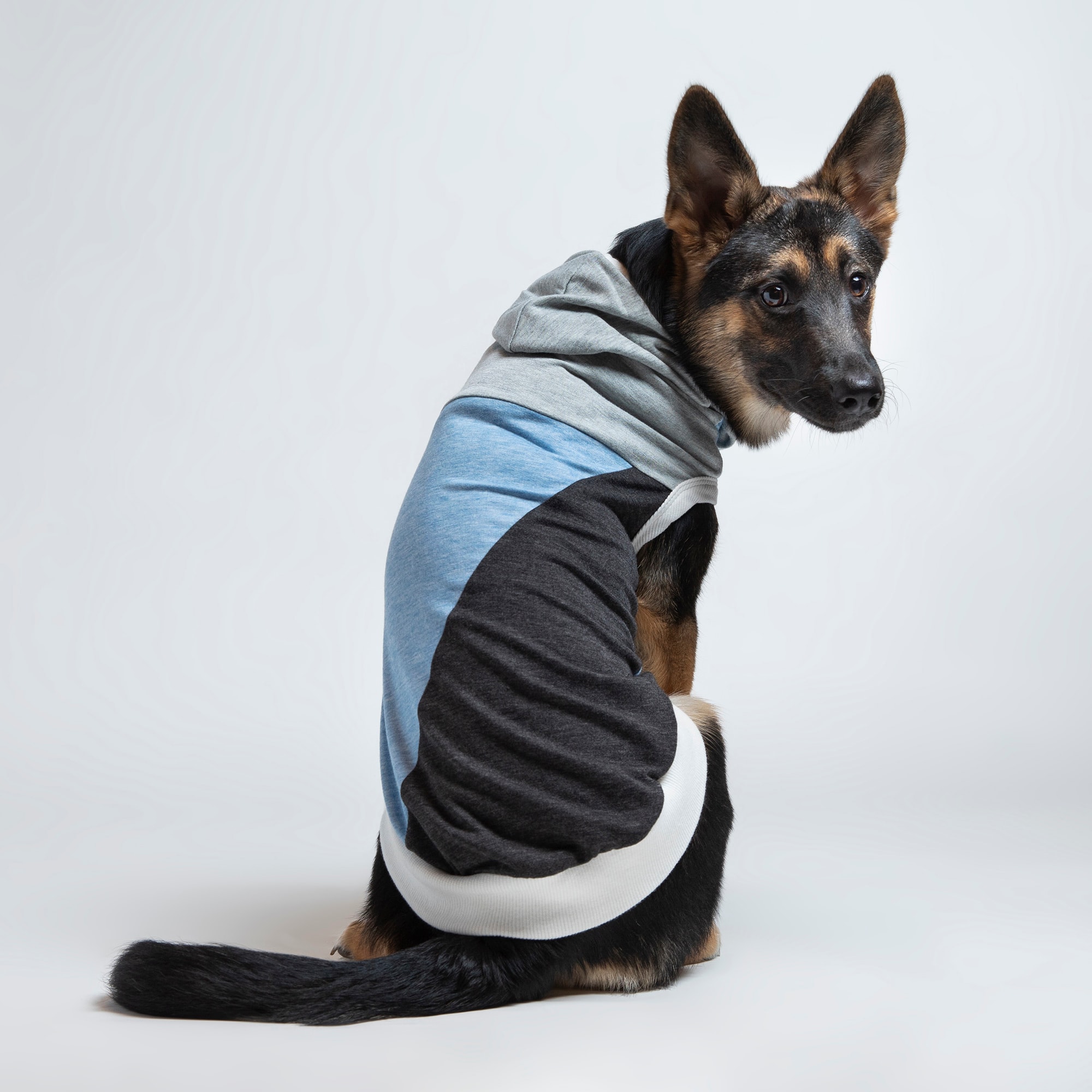 LONG DOG CLOTHING CO. The Skater II Sleeveless Lightweight Hoodie Dog Shirt， X-Small