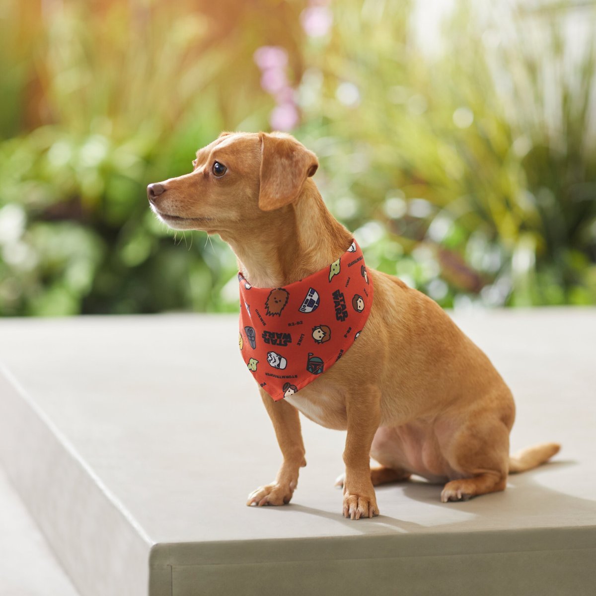 STAR WARS Pictogram Dog and Cat Bandana