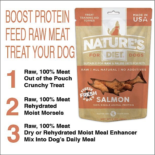 Nature's Diet Salmon Raw Freeze-Dried Dog Treats， 2-oz pouch