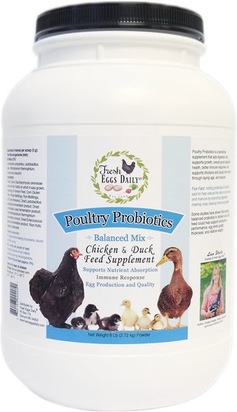 Fresh Eggs Daily Poultry Probiotics Balanced Mix Chicken and Duck Supplement