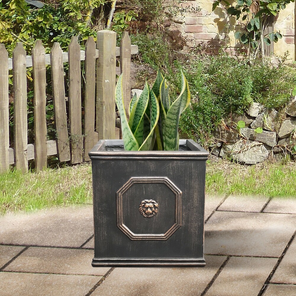 DurX litecrete Lightweight Concrete Lion Head Square Bronze Planter Medium   12.6'x12.6'x12.6'