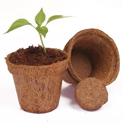 Modern Home Decor Benefits ofCoco HuskPots for Gardening Coco Coir Pots Function Meets Eco Friendliness In Indoor Outdoor Plants