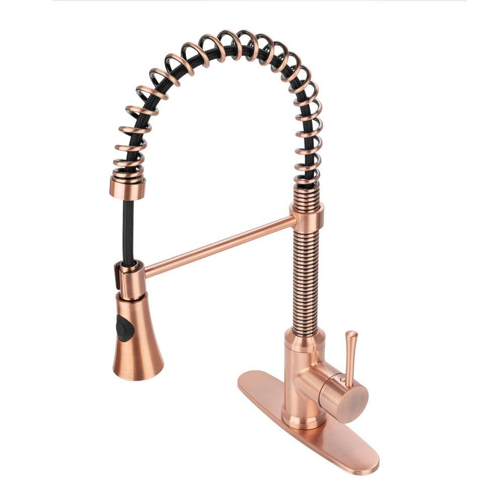 Fontaine by Italia Single-Handle 1 or 3 Hole Residential Pull-Down Sprayer Kitchen Faucet with 2-Spray Heads in Antique Copper N96565FC-DP-AC