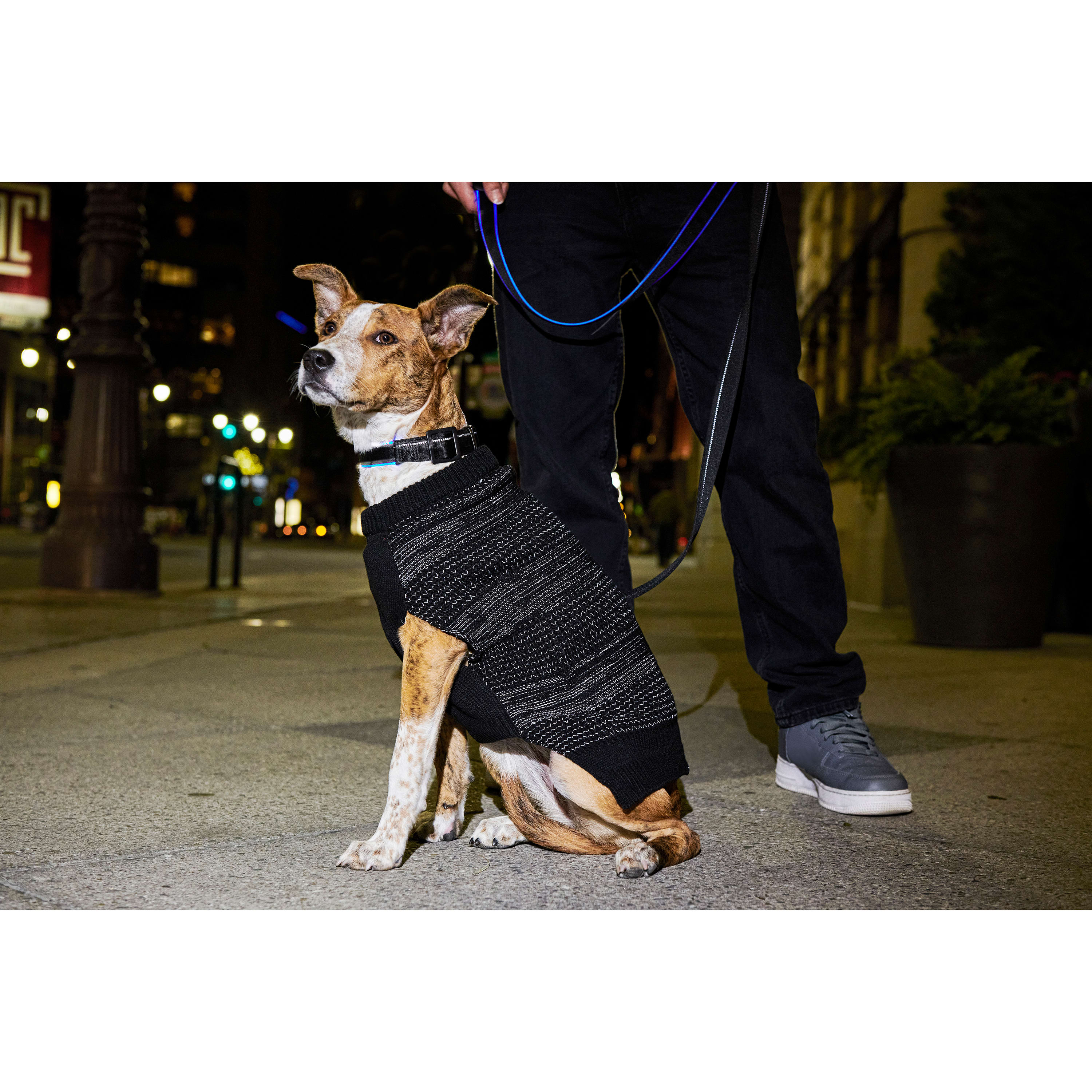 Reddy Black Reflective Dog Sweater， X-Small