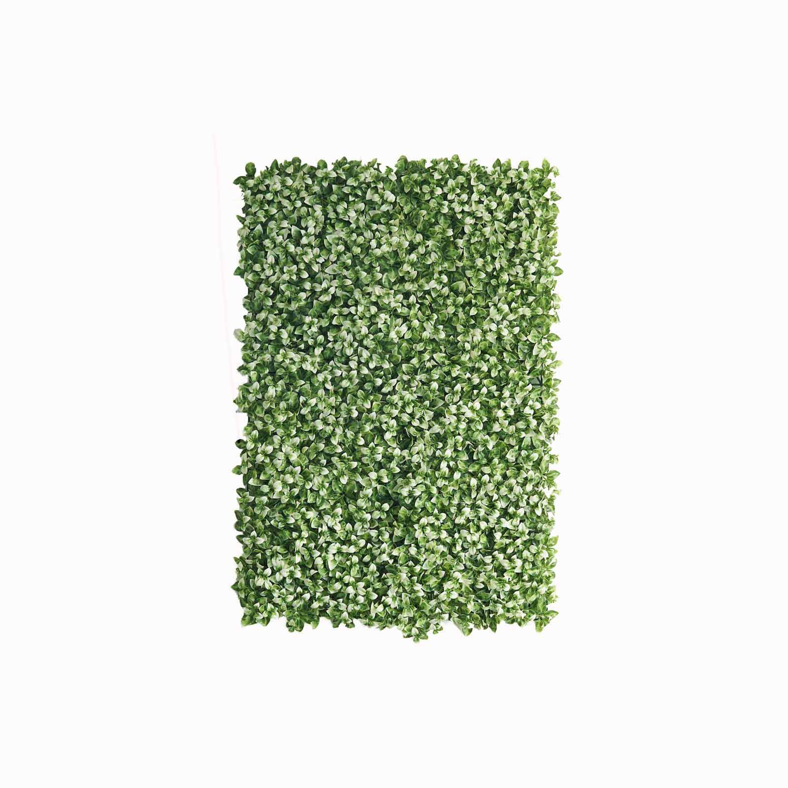 White Tip Green Boxwood Hedge Garden Wall Backdrop Mat 4 Artificial Panels 11 Sq ft.