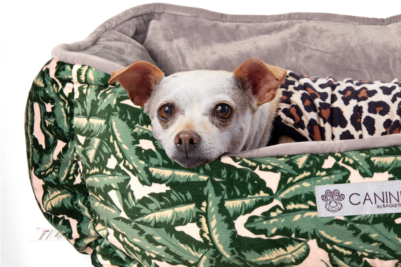 CANINI by Baguette Reversible Micro-Plush Dog Bed for Small-Sized Breeds, Leaf Print