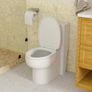 LORDEAR 12 in. Rough-In 1-piece 1.61.1 GPF Dual Flush Elongated Toilet in White Soft Close Seat Included MT60DL8