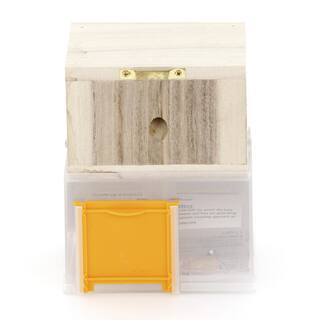 Bees N Things Hanging Carpenter Bee Trap 100537614