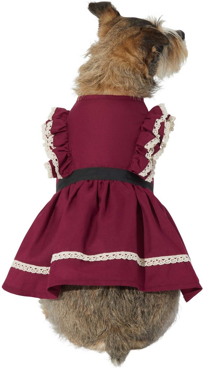 Frisco Plum Dog and Cat Dress