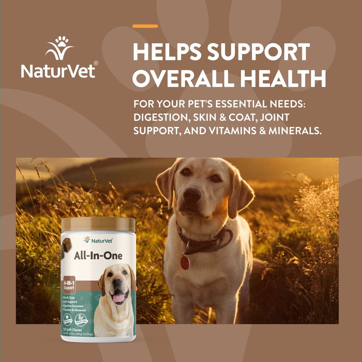 NaturVet All-in-One Soft Chews Multivitamin for Dogs